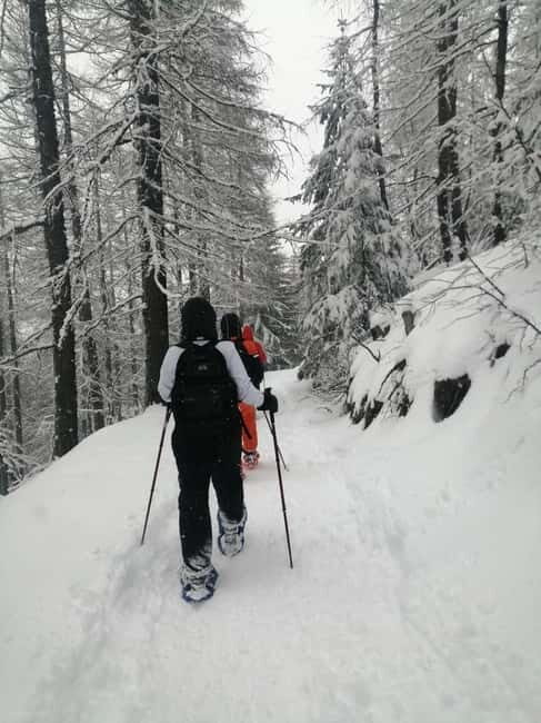 Susa Valley at dawn: snowshoeing in nature and silence - What Is Snowshoeing in the Susa Valley Like?