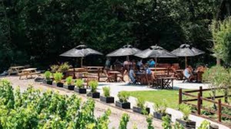 Sussex Vineyard Tour by Minibus - pick up and drop off - FAQ