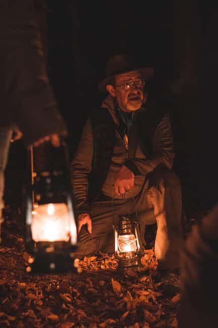 Sutrio: Nighttime Guided Forest Walk & Optional Tasting - Key Points