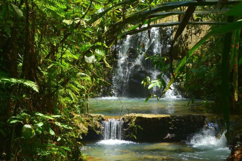 Suva: Fijian Nature and Waterfall Tour - Who Will Love This Tour?