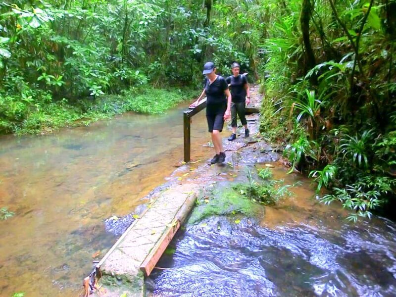 Suva: Fijian Nature and Waterfall Tour - Transport, Duration, and Pricing