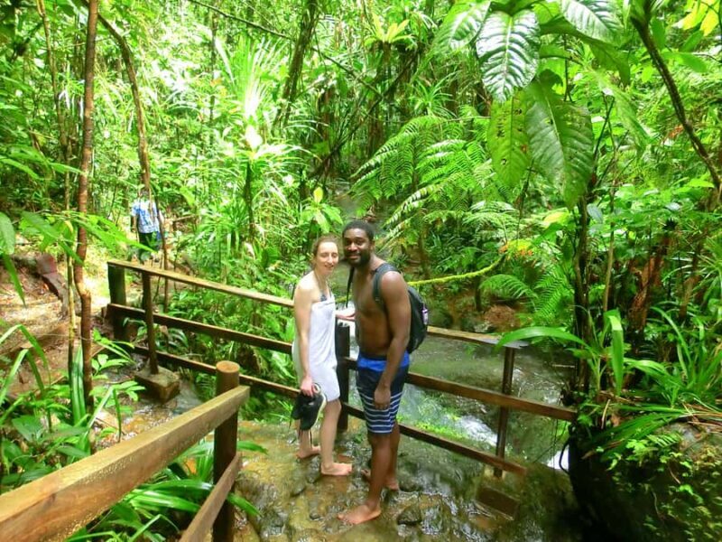 Suva: Fijian Nature and Waterfall Tour - Authentic Experiences and Real Traveler Feedback
