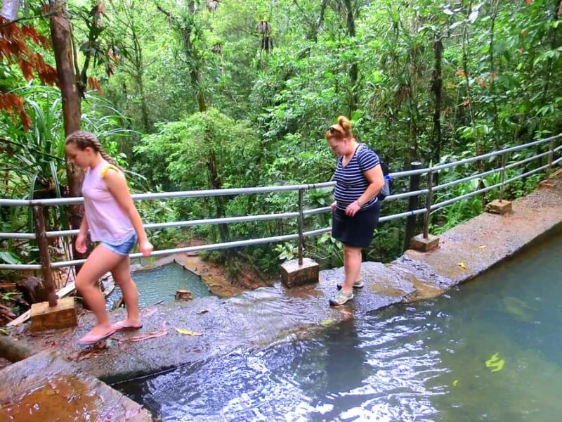 Suva: Fijian Nature and Waterfall Tour - The Bottom Line