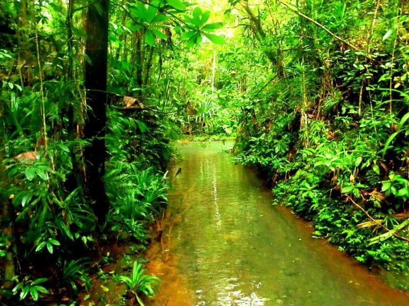 Suva: Fijian Nature and Waterfall Tour - FAQs