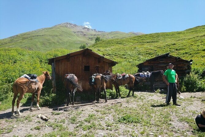 Svaneti Mountain Villages 4x4 Safari, tour from Kutaisi - The Practical Side: Transportation, Timing, and Group Size