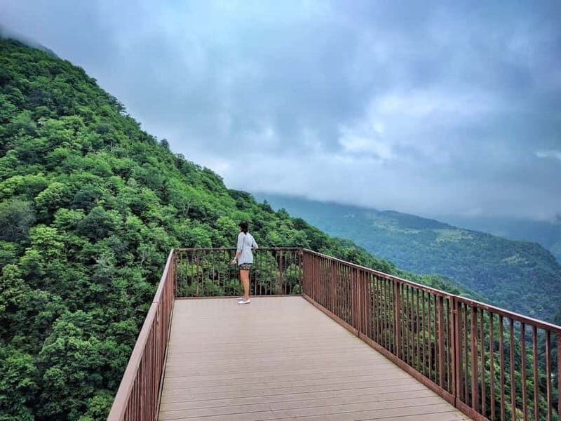 Svaneti Towers Private Tour to Mestia, Hatsvali, Ushguli - Final Thoughts: Who Is This Tour For?