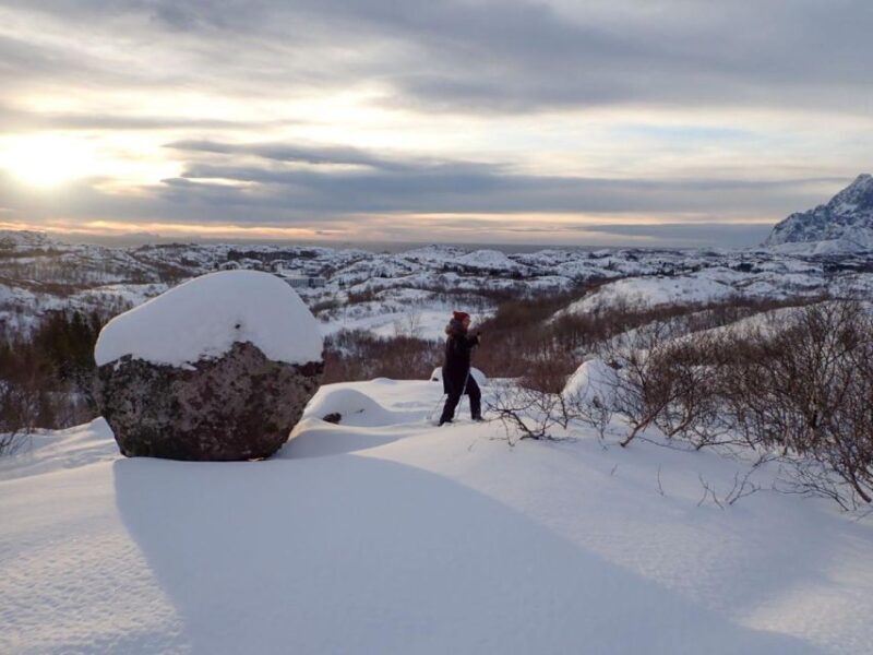 Svolvaer: Half-Day Guided Snowshoeing Tour - Key Points