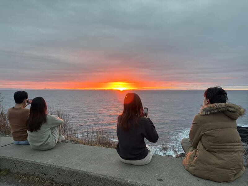 Svolvær: Lofoten Islands Full-Day Guided Tour - The Experience from Past Travelers