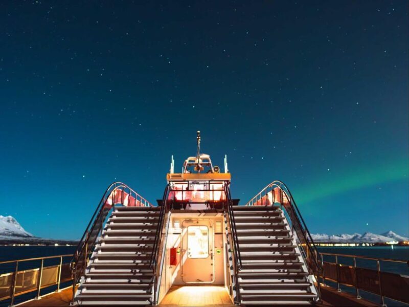 Svolvær: Northern Lights and Full Steam Cruise with Tasting - Who Should Consider This Tour?