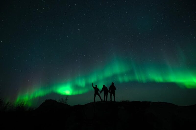 Svolvær: Ultimate Aurora Hunt - Real Experiences from Travelers