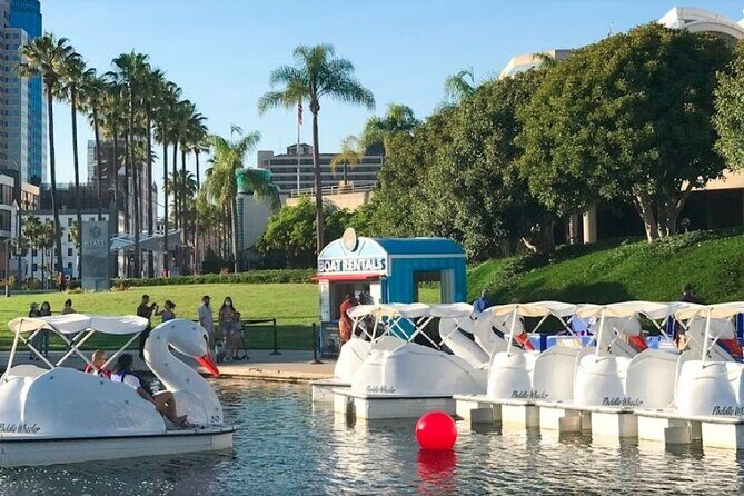 Swan Boat Rental at Rainbow Lagoon in Long Beach - The Downsides: What to Watch Out For