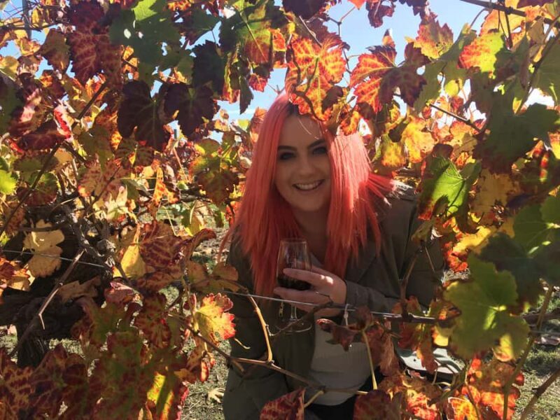 Swan Valley: Out for the Afternoon Wine Tasting with Lunch - Pricing and Value