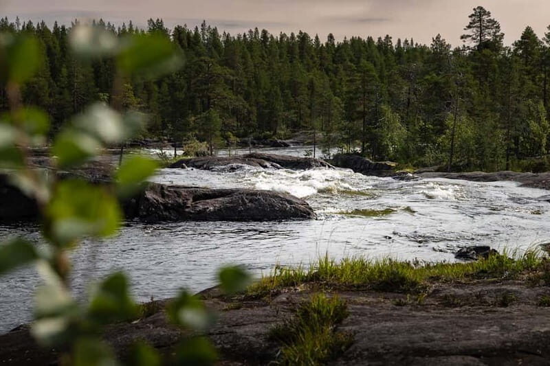 Swedish Lapland: Midnight Sun Photography Workshop - Experience Format and Group Dynamics
