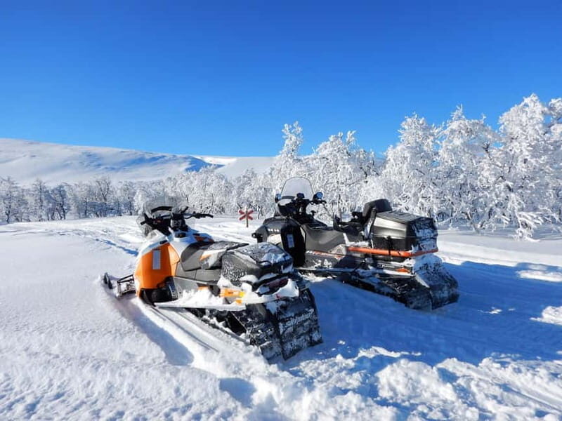 Swedish Lapland: Snowmobile safari - Who This Tour Is Perfect For