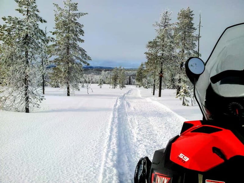 Swedish Lapland: Snowmobile safari - Final Thoughts