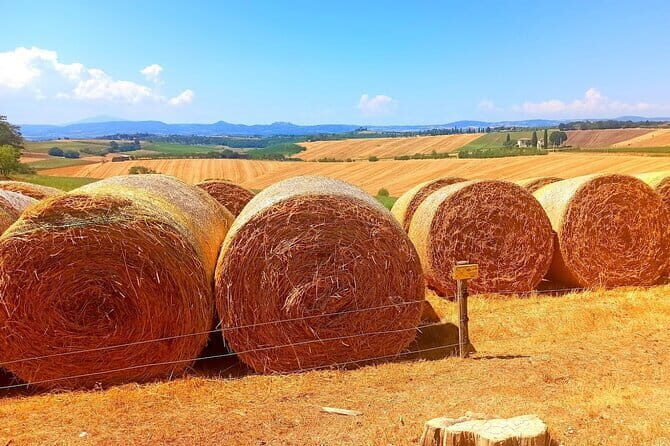 "Sweet Hills of Chianti & San Gimignano" with Lunch & 2 Tastings - The Full Scoop on the Tour