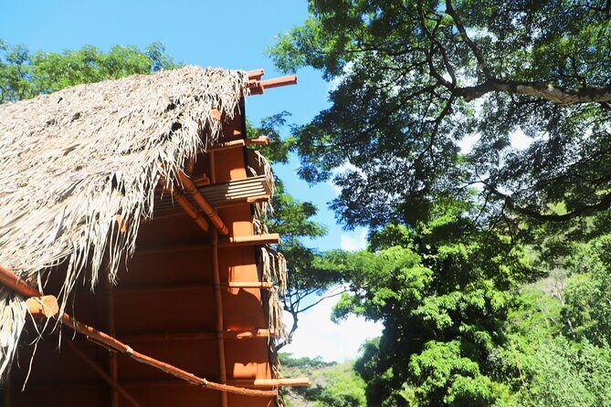 Swim at Oahu Waterfall in Waimea with Coffee, Lunch and Dole - What Is the Waimea Waterfall Tour All About?