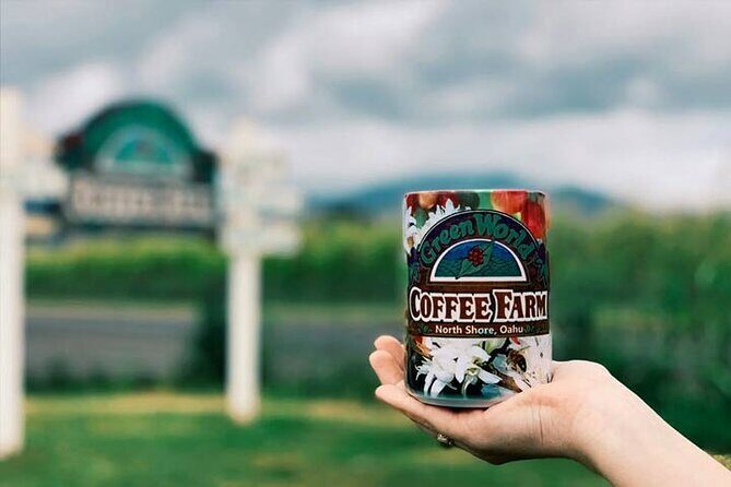 Swim at Oahu Waterfall in Waimea with Coffee, Lunch and Dole - The Itinerary Breakdown: What Makes Each Stop Special