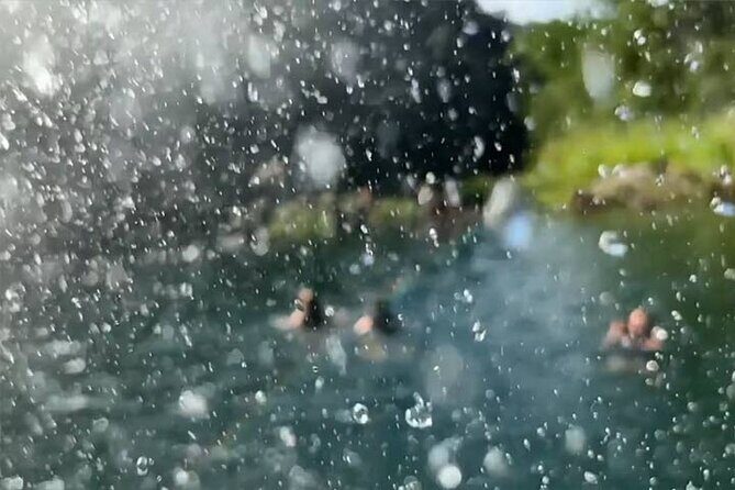 Swim at Oahu Waterfall in Waimea with Coffee, Lunch and Dole - The Group Experience and Reviews