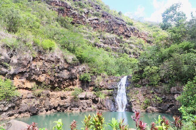 Swim at Oahu Waterfall in Waimea with Coffee, Lunch and Dole - Who Would Enjoy This Tour?