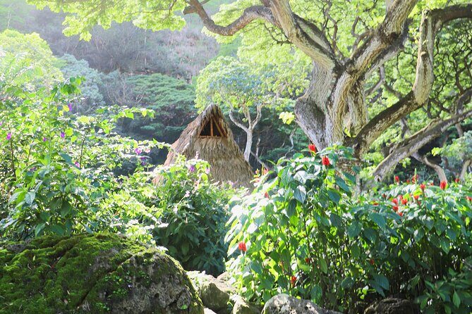Swim at Oahu Waterfall in Waimea with Coffee, Lunch and Dole - FAQ