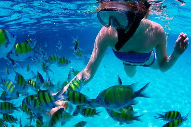 Swim & Fly Day Trip in Cancun with Transportation - Final thoughts