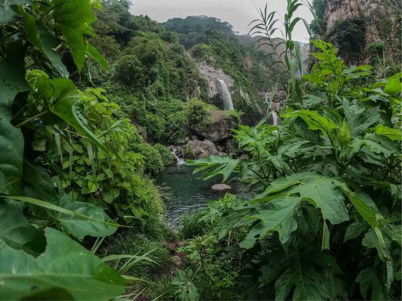 Swim in lush springs and waterfalls in Guadalajara - The Experience from Reviews
