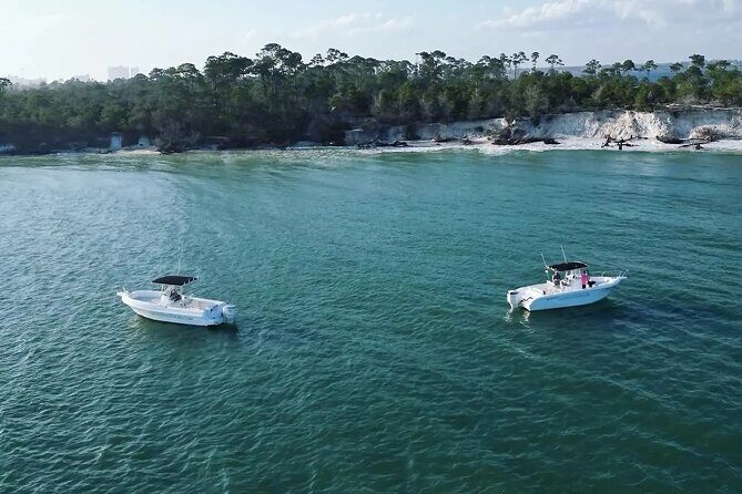 Swim with Dolphins And Snorkeling Group Tour - The Itinerary: What You Can Expect