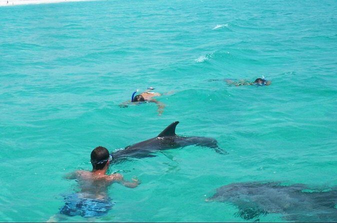 Swim with Dolphins And Snorkeling Group Tour - The Weather and Cancellations