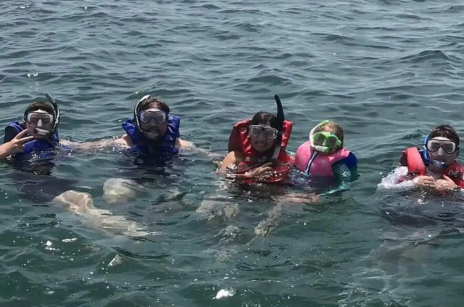 Swim with Dolphins And Snorkeling Group Tour - The Value of the Tour