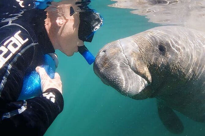 Swim With Manatees-Private Tour with In Water Guide/Photographer - The Itinerary: How Does the Day Unfold?