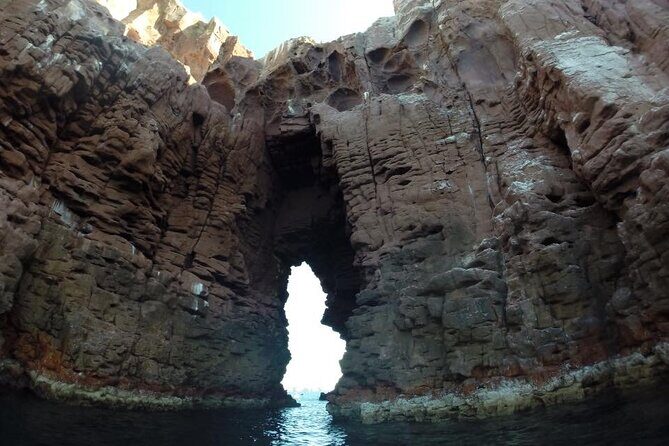 Swim with Sea Lions in La Paz - FAQs About the La Paz Sea Lion Tour