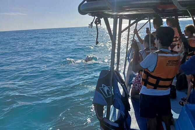 Swim with the Whale Shark on Holbox Island - The Experience’s Pros and Cons