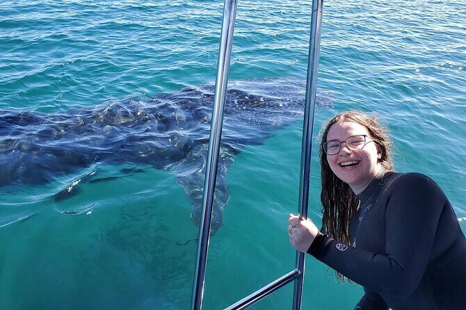 Swim with Whale Sharks #1 MUST DO IN LA PAZ - What to Expect from the Tour