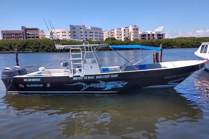 Swim with Whale Sharks Private tour from Playa del Carmen - What to Expect from the Tour