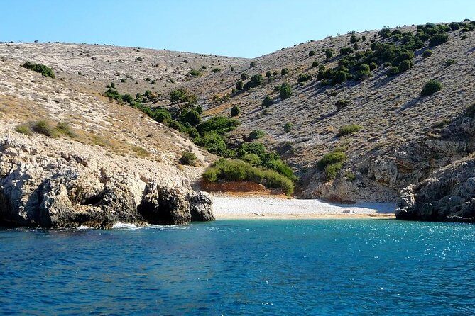 Swimming and Snorkeling on Wild bays with Captain Bobo - An In-Depth Look at the Experience