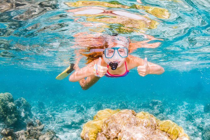 Swimming with the Whale Sharks - Ningaloo Reef (Exmouth) - What to Expect on the Day