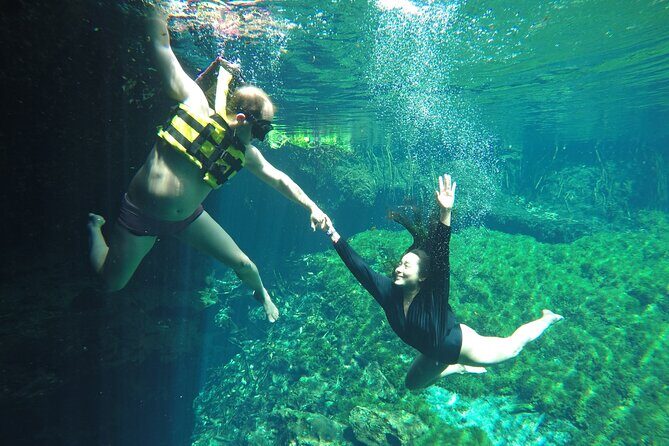 Swimming with turtles, 2 cenotes & gopro - Transportation, Timing, and Group Size