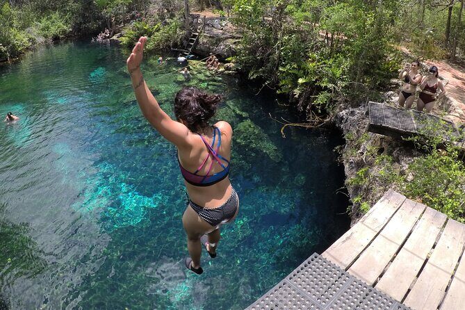 Swimming with turtles, 2 cenotes & gopro - Price and Value