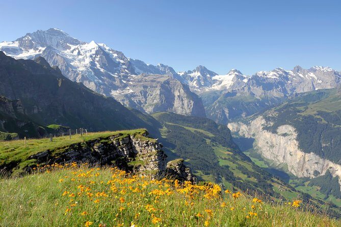 Swiss Alps: Interlaken and Grindelwald Day Trip from Zurich - FAQs