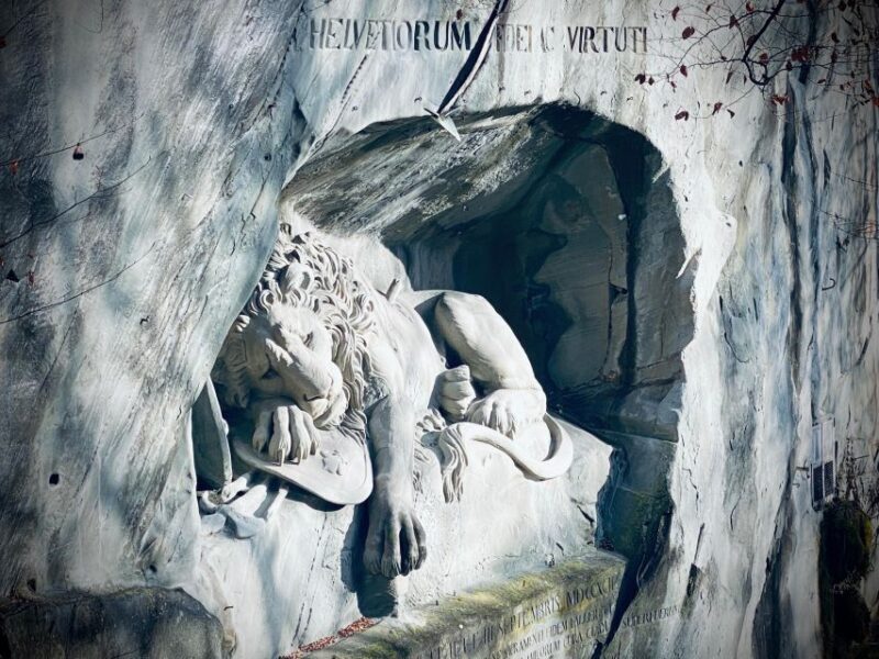 Swiss Chocolate Safari - Final Thoughts