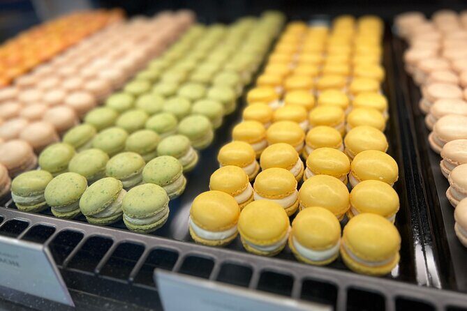 Swiss Chocolate Safari - Authentic Feedback