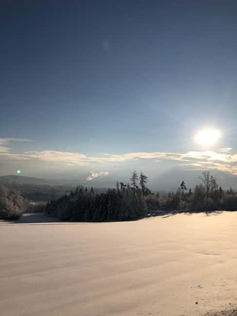 Swiss Highlights: Guided Zürich, Lucerne and Basel tour - Who will love this tour?