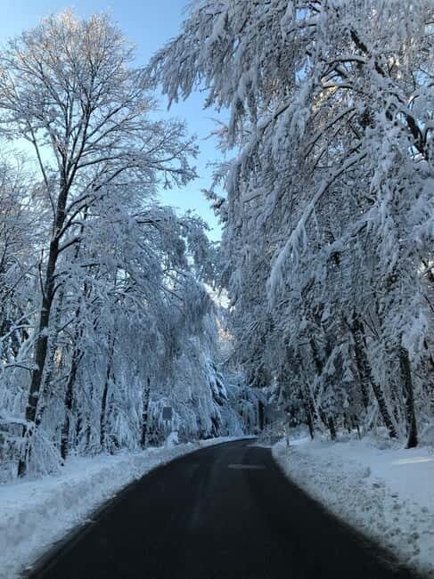 Swiss Highlights: Guided Zürich, Lucerne and Basel tour - Final thoughts