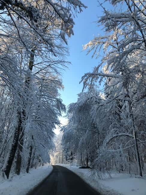 Swiss Highlights: Guided Zürich, Lucerne and Basel tour - FAQ