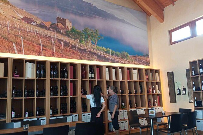 Swiss Vineyard Wine Tasting Tour in Vaud - Stop 3: Morges and Wine Tasting