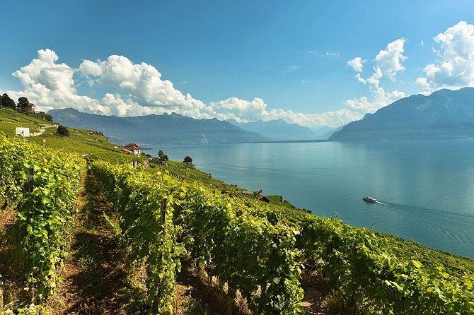 Swiss Wine Tasting at Lavaux Vineyards: Private Trip from Geneva - Exploring the Lavaux Vineyards