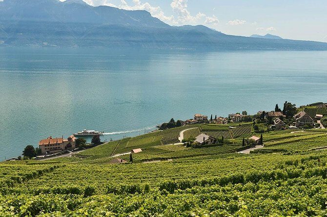 Swiss Wine Tasting at Lavaux Vineyards: Private Trip from Geneva - Transportation and Comfort