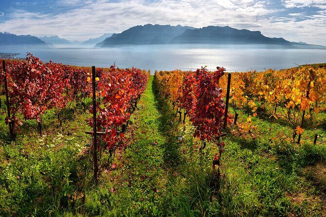 Swiss Wine Tasting at Lavaux Vineyards: Private Trip from Geneva - FAQ