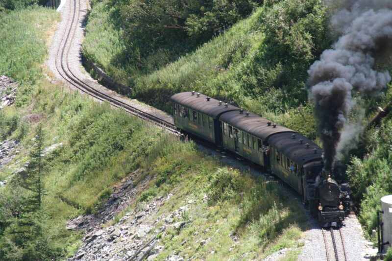 Switzerland: Private Day Tour by car with unlimited km - Final Thoughts